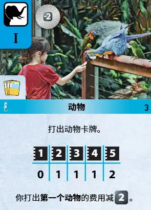 动物 -2C（Discount Animals）