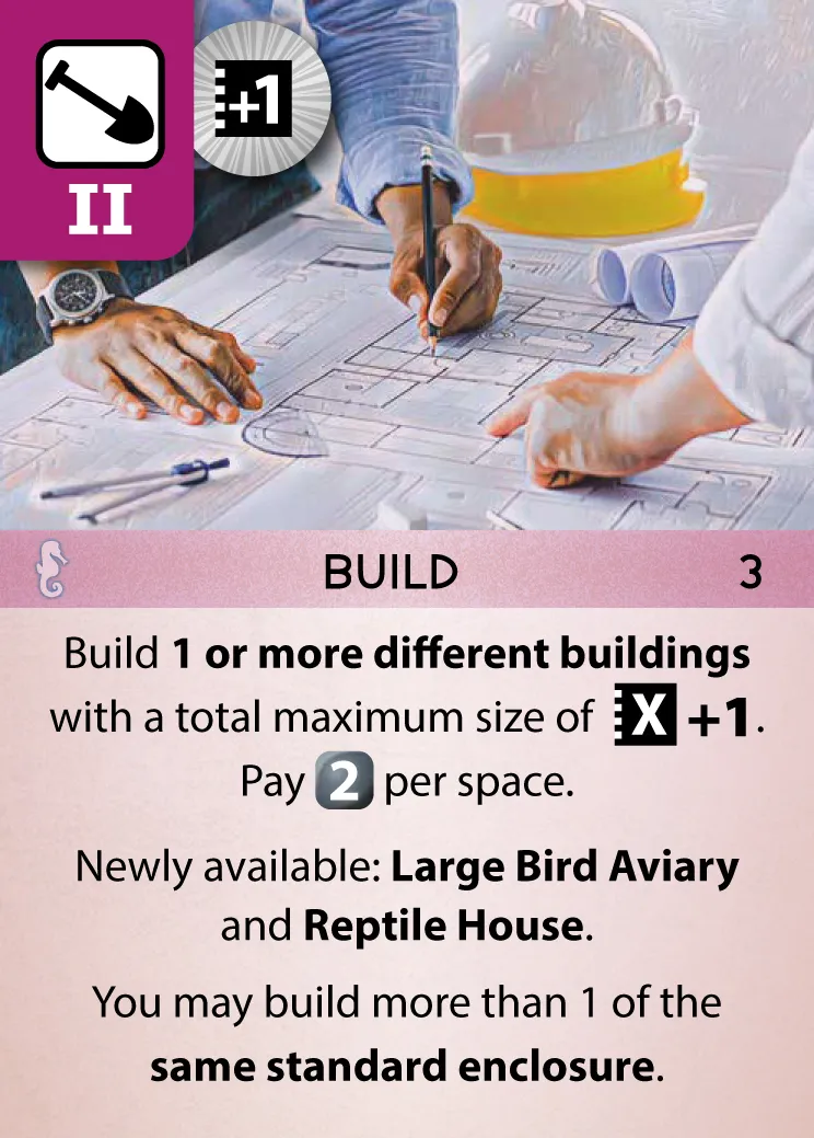 +1 建 （+1 Build）